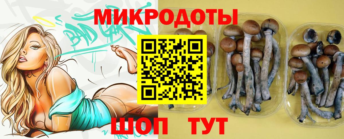 Лабинск  Псилоцибиновые грибы Psilocybe  Вход с VPN 