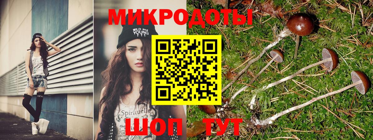 Псилоцибиновые грибы прущие грибы Лабинск